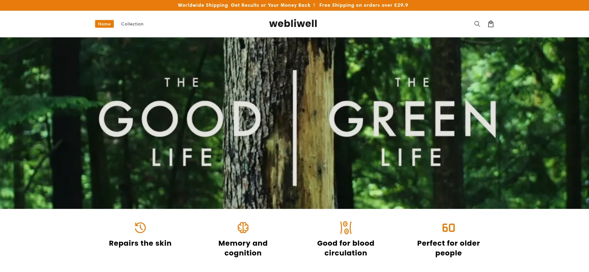 Website screenshot of Webliwell.com