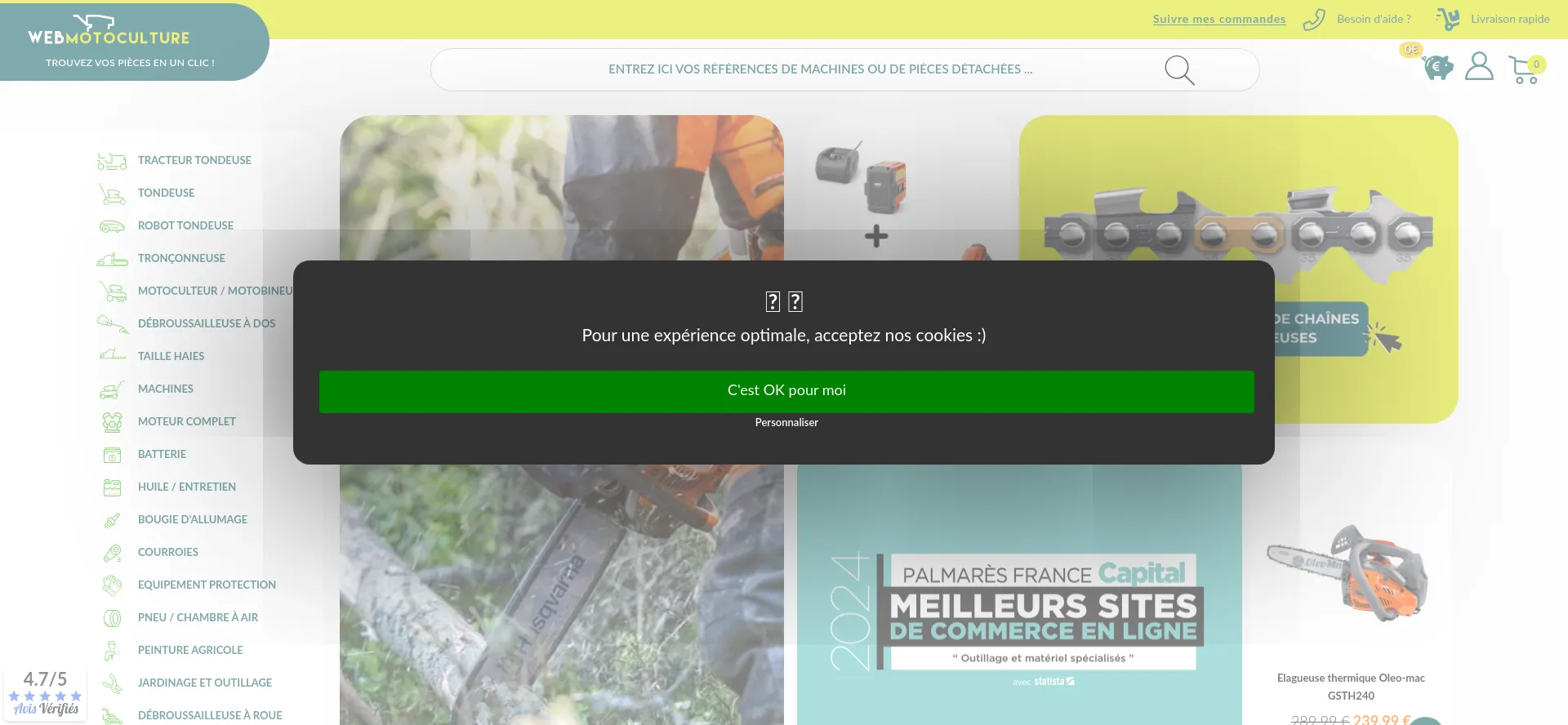 Website screenshot of Webmotoculture.com