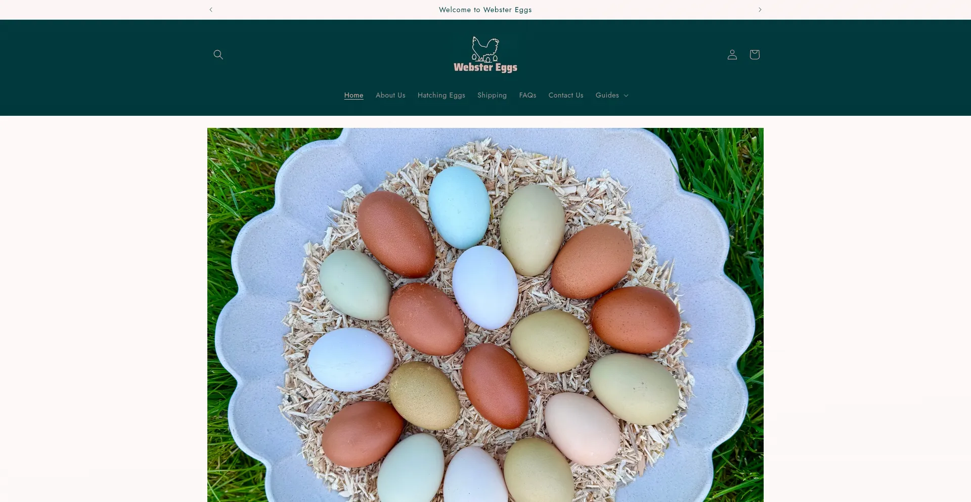 Webstereggs.com é Seguro e Confiável?
