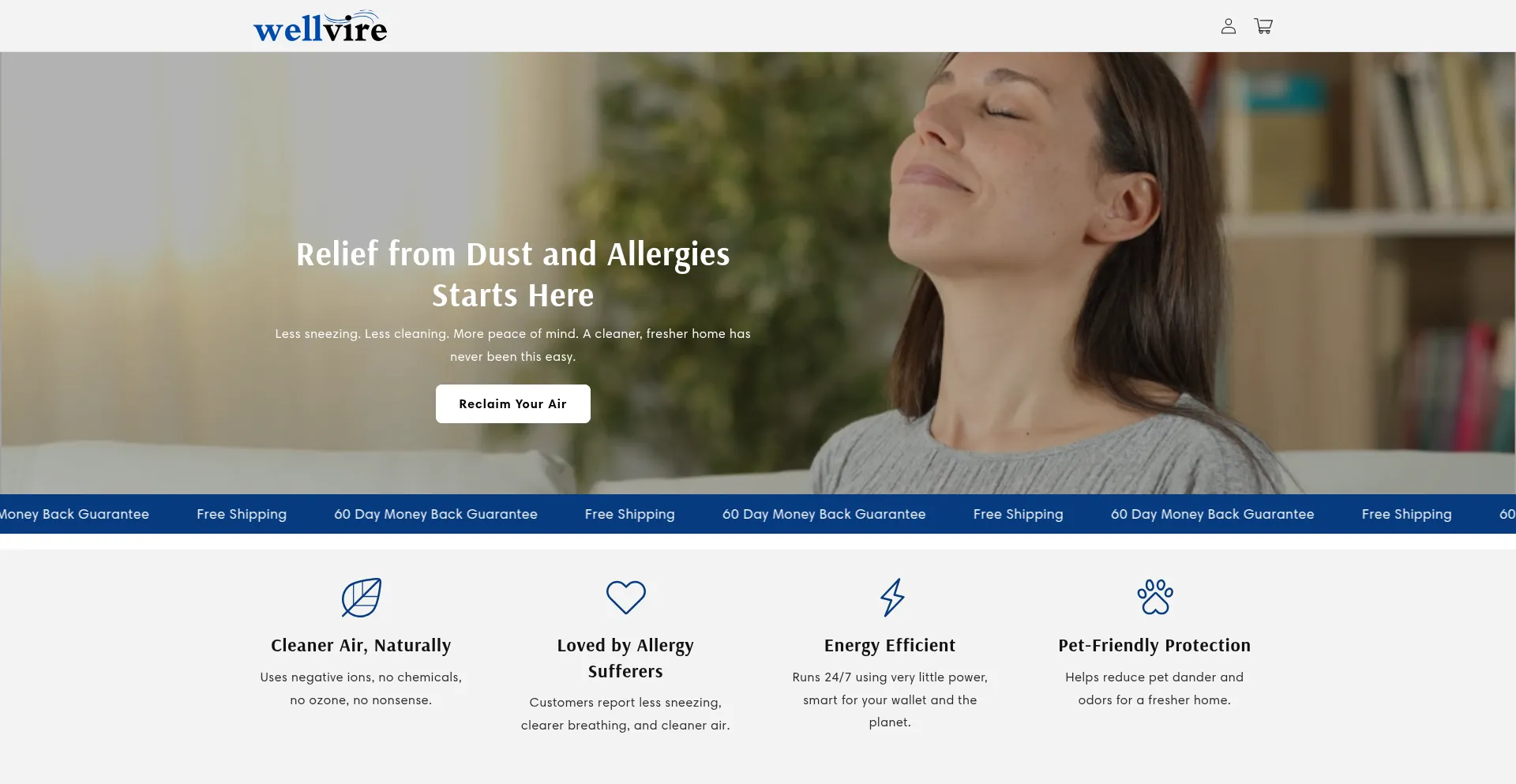 Website screenshot of Wellvire.com
