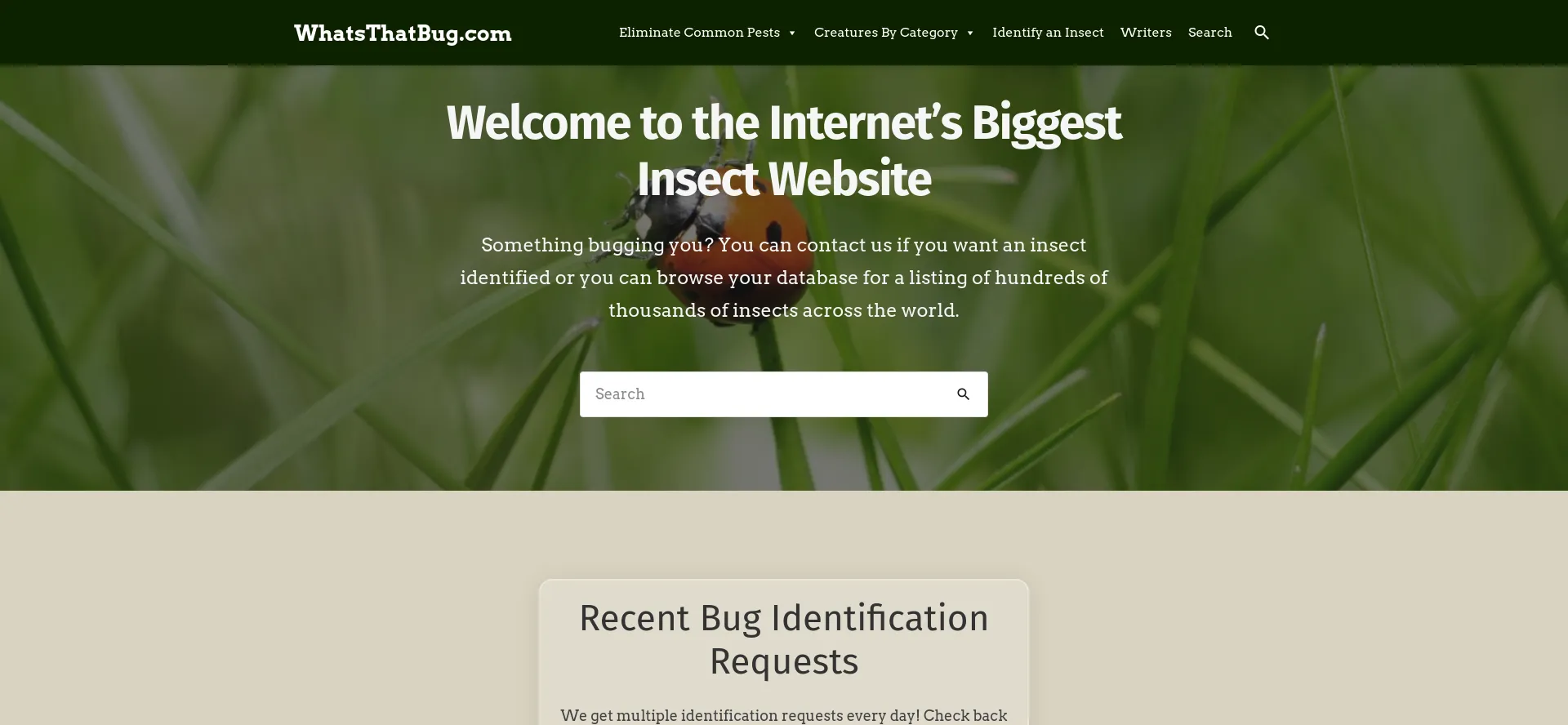 Whatsthatbug.com