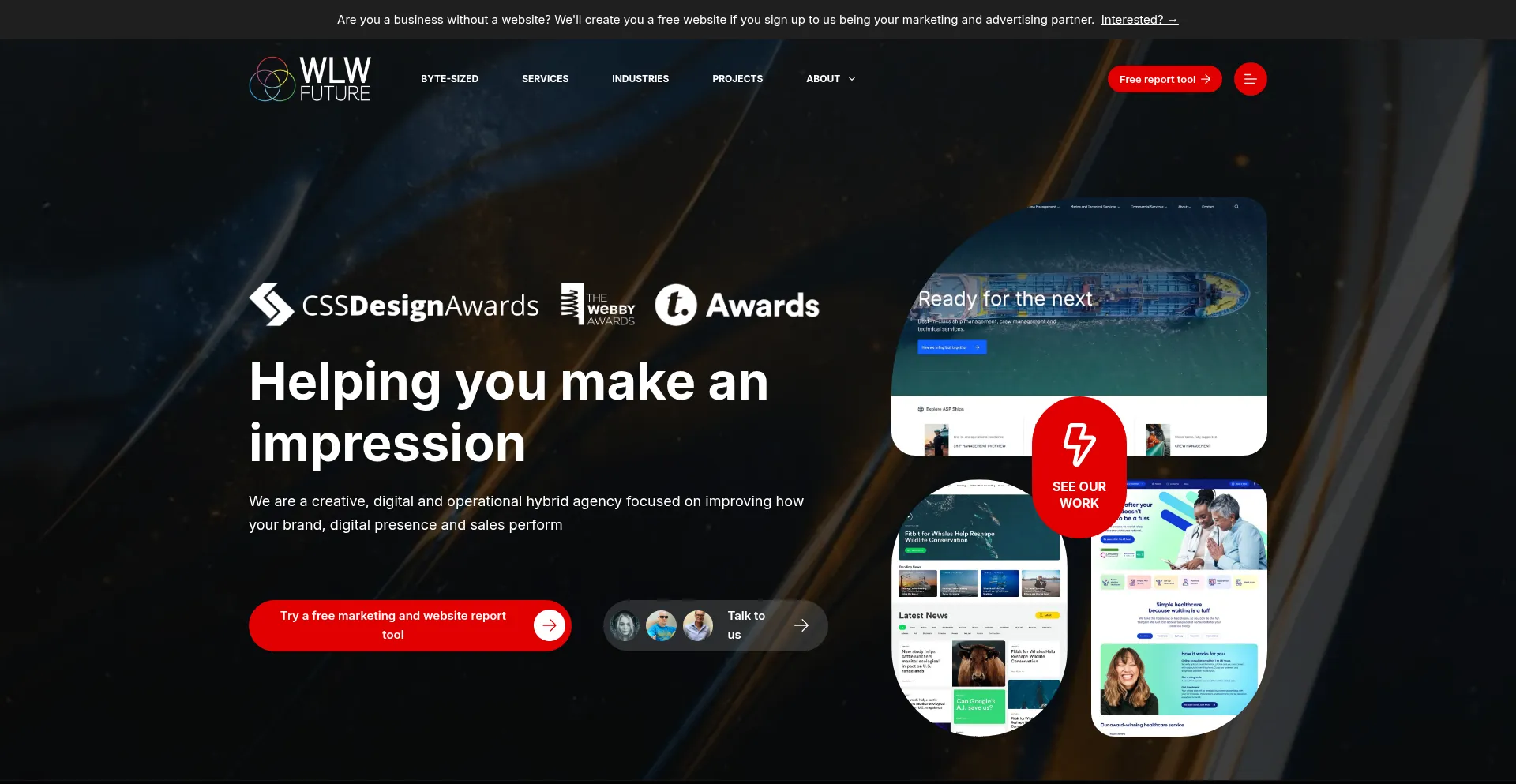 Wlwfuture.website