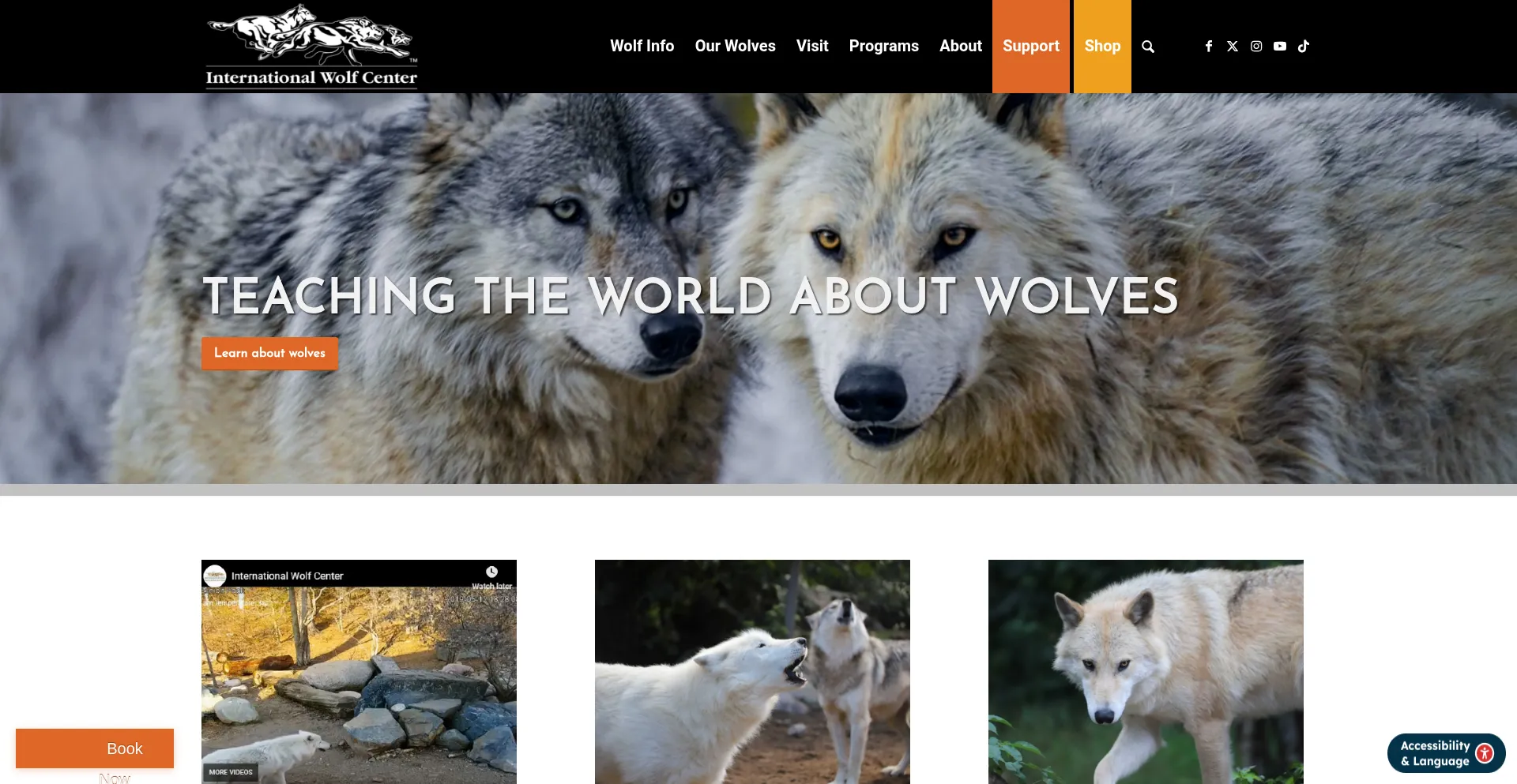 Wolf.org