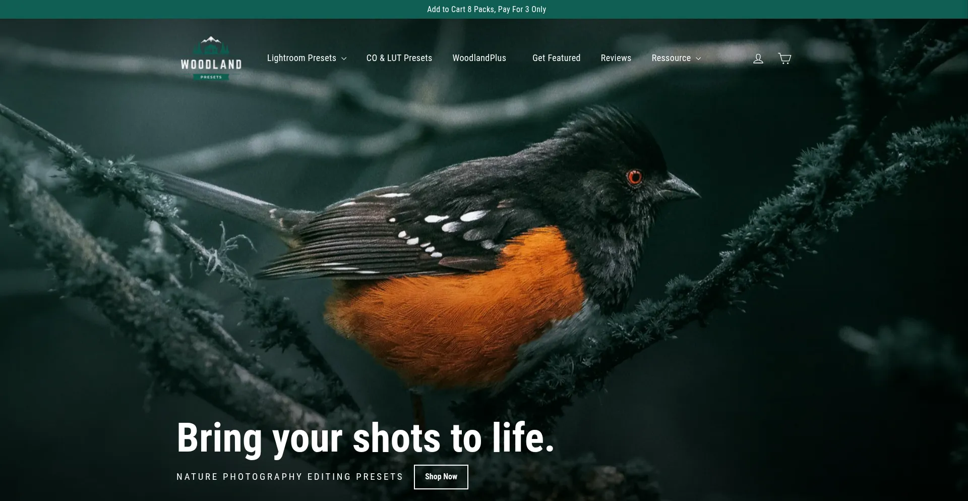 Website screenshot of Woodlandpresets.com