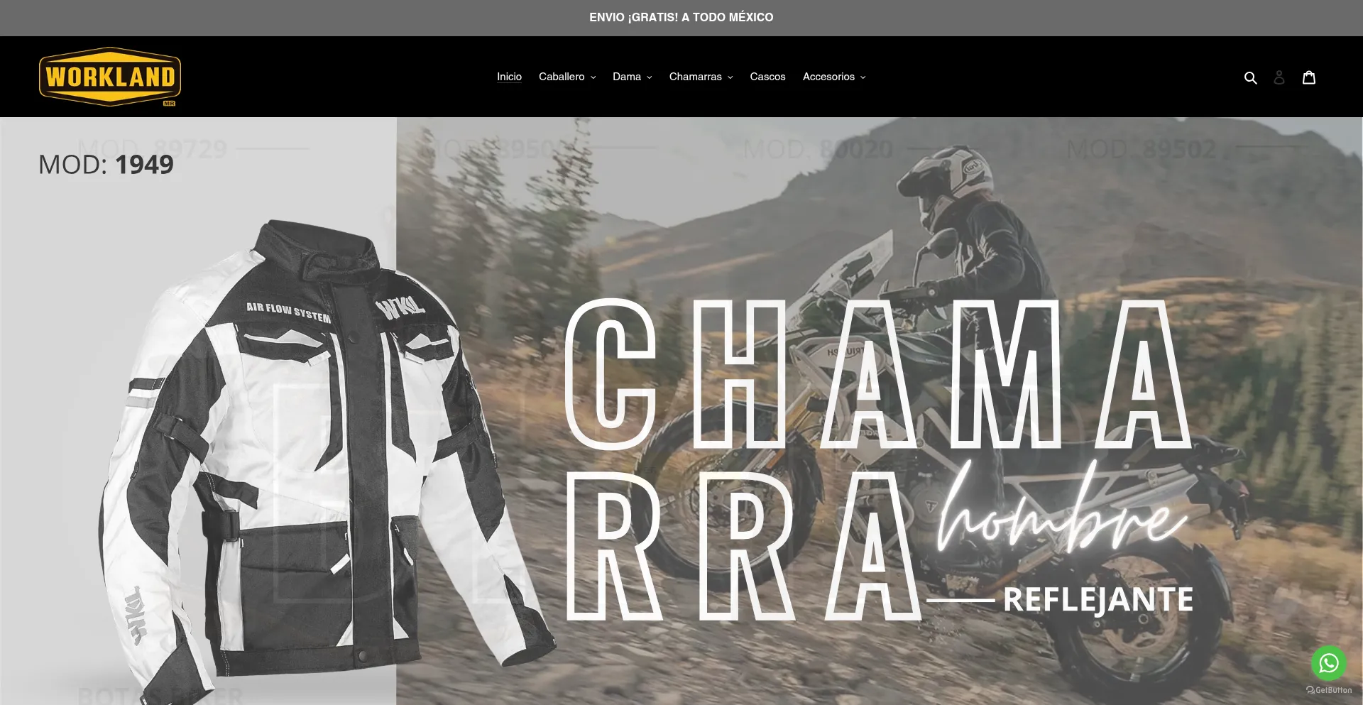 Website screenshot of Workland.com.mx