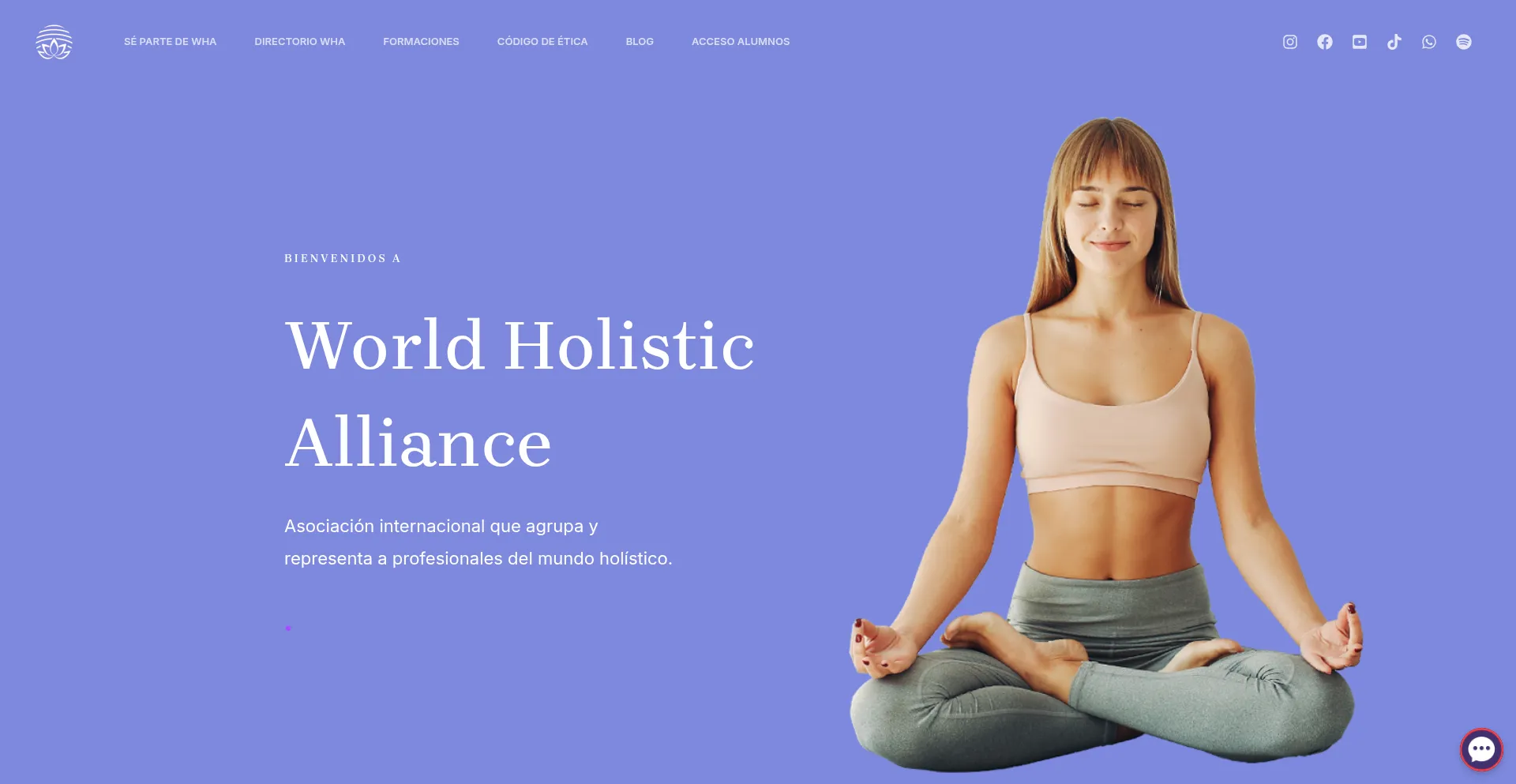 Worldholisticalliance.org
