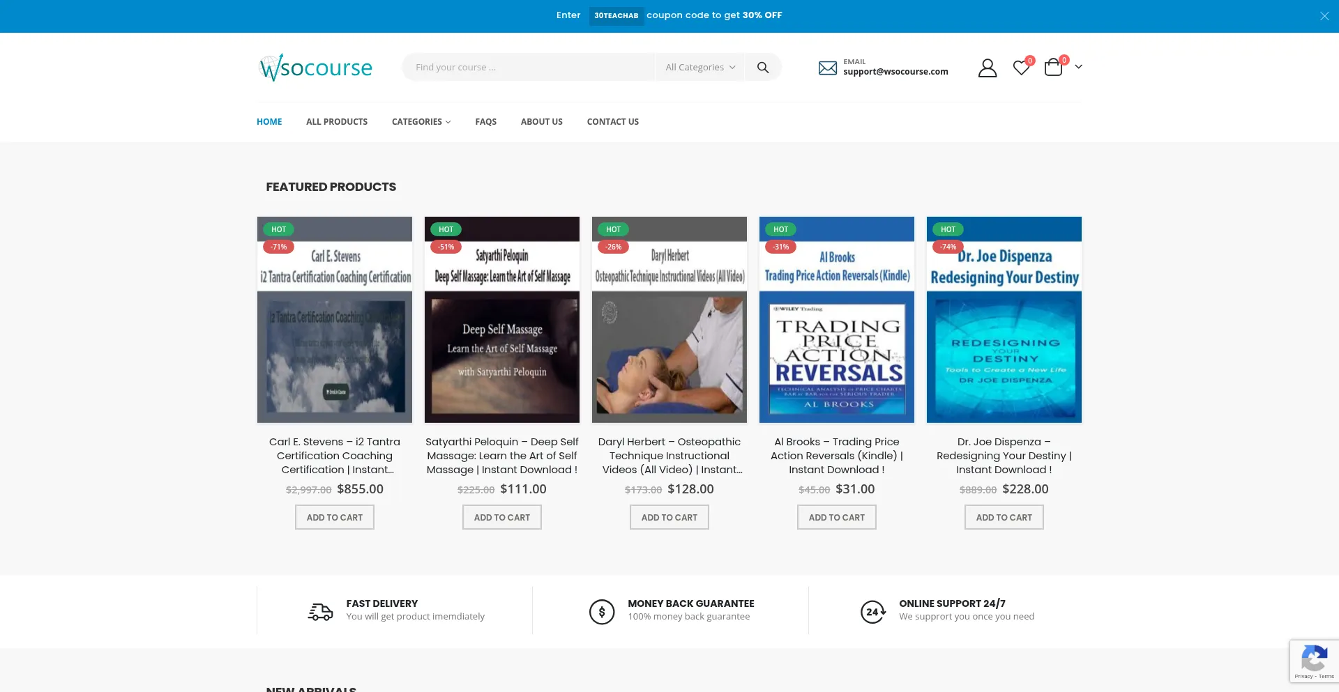 Website screenshot of Wsocourse.co