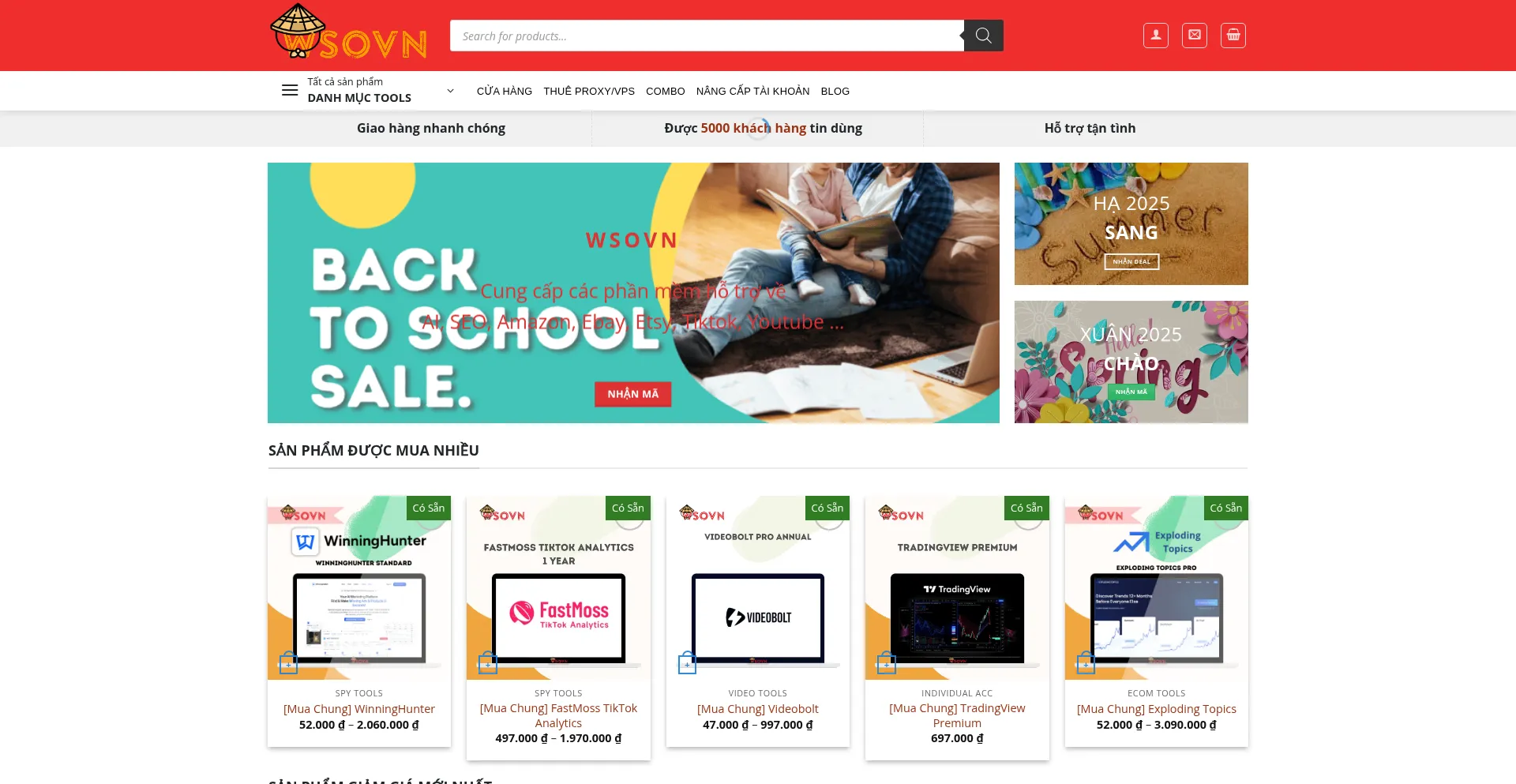 Website screenshot of Wsovn.net