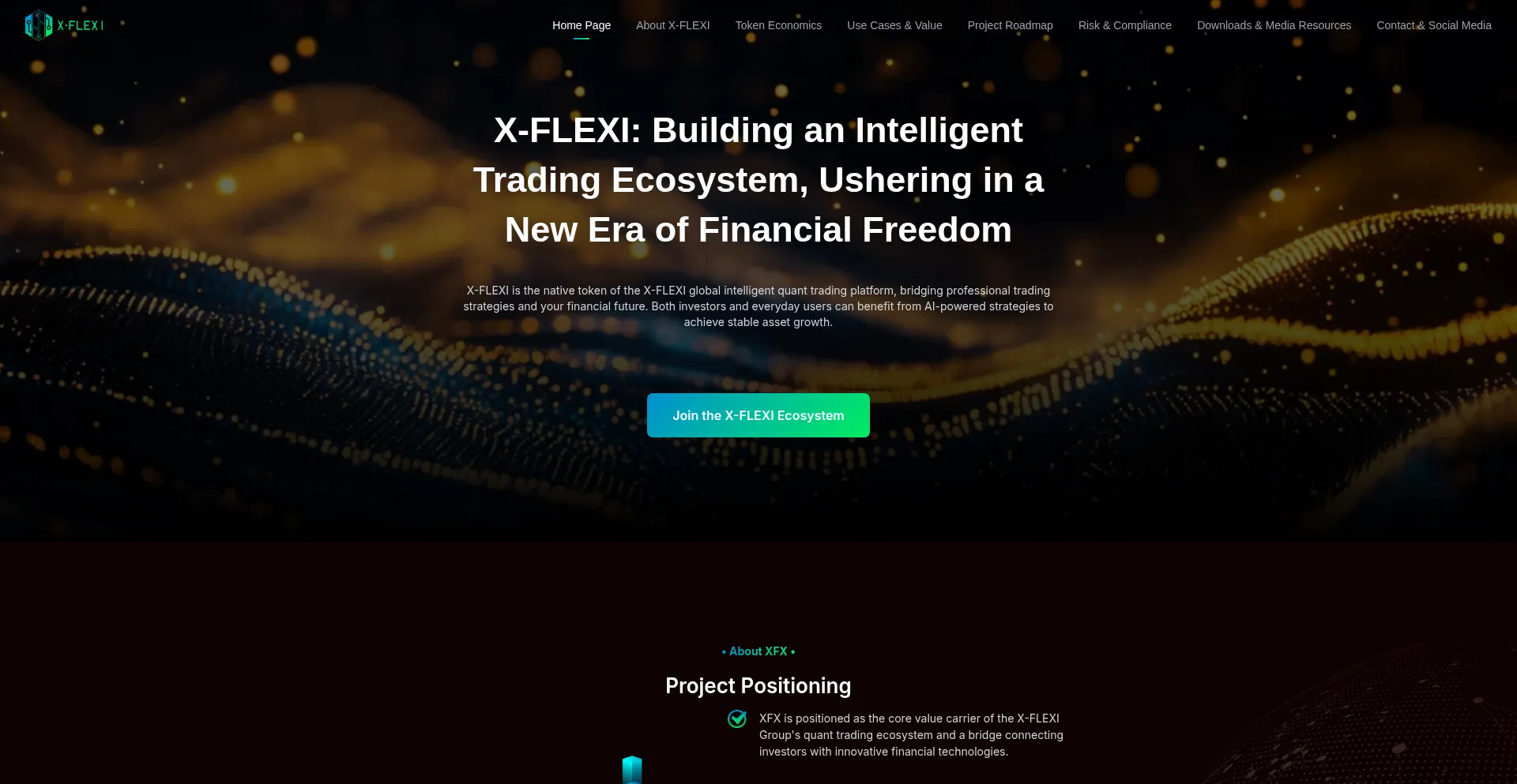 Website screenshot of X-flexi-xfx.com