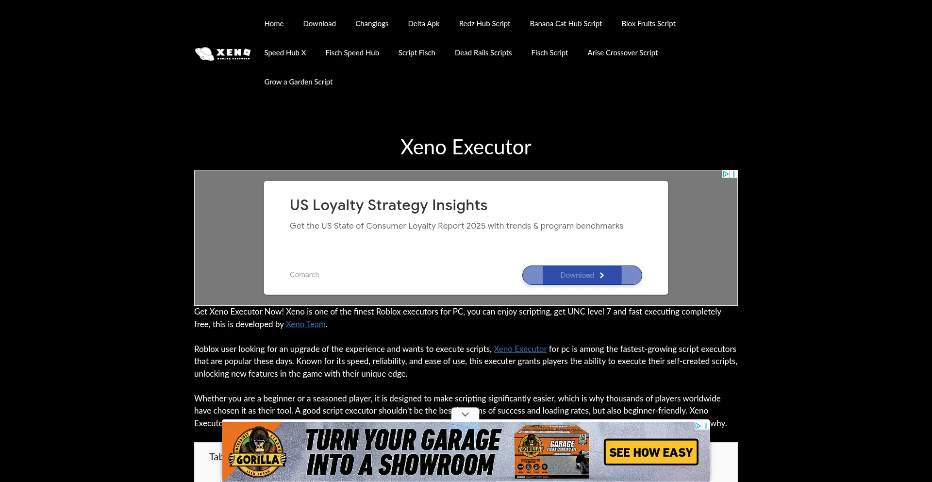 Website screenshot of Xeno-executor.com