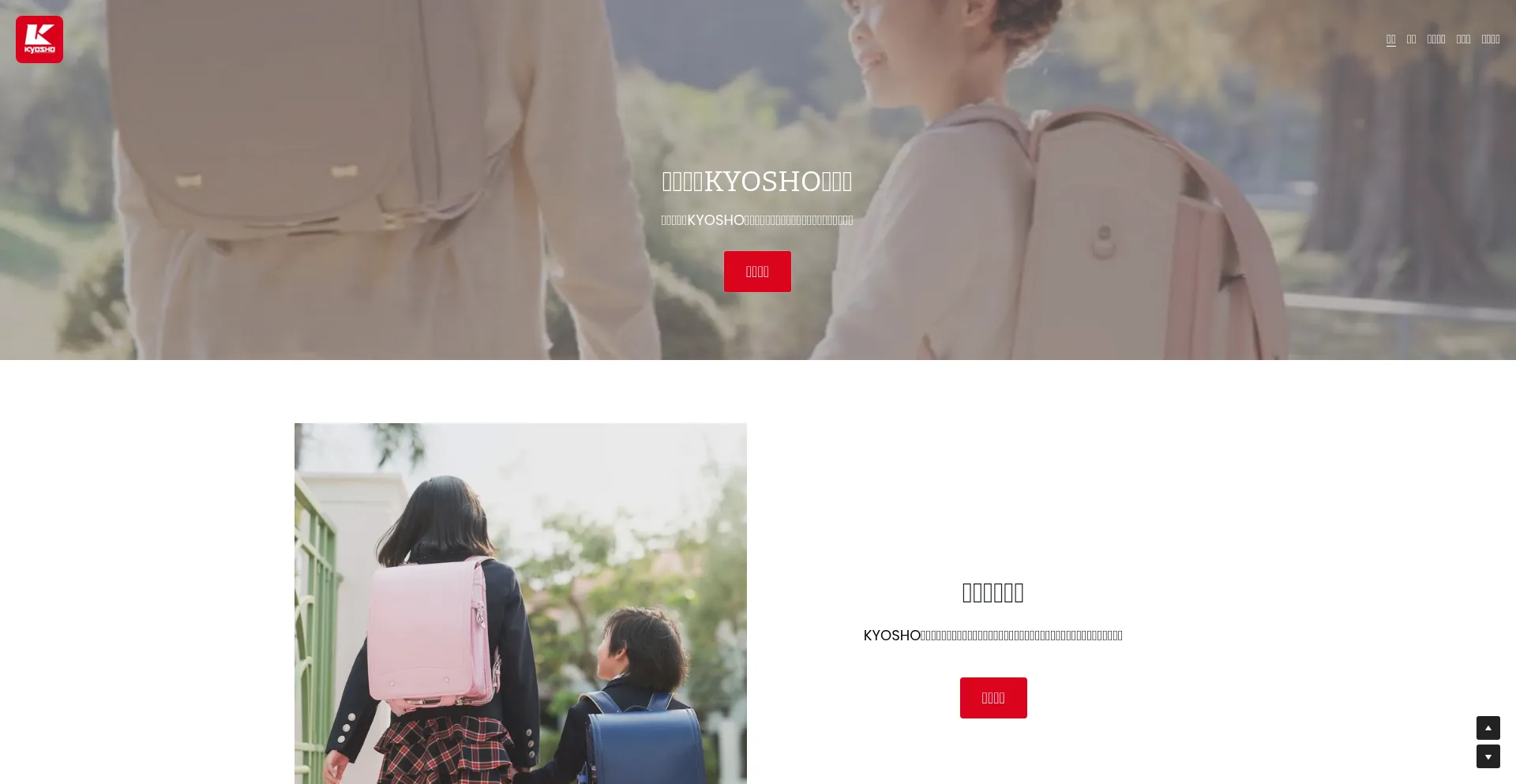 Website screenshot of Xlcom.store