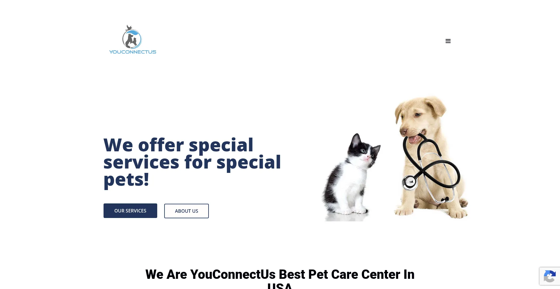 Youconnectus.com