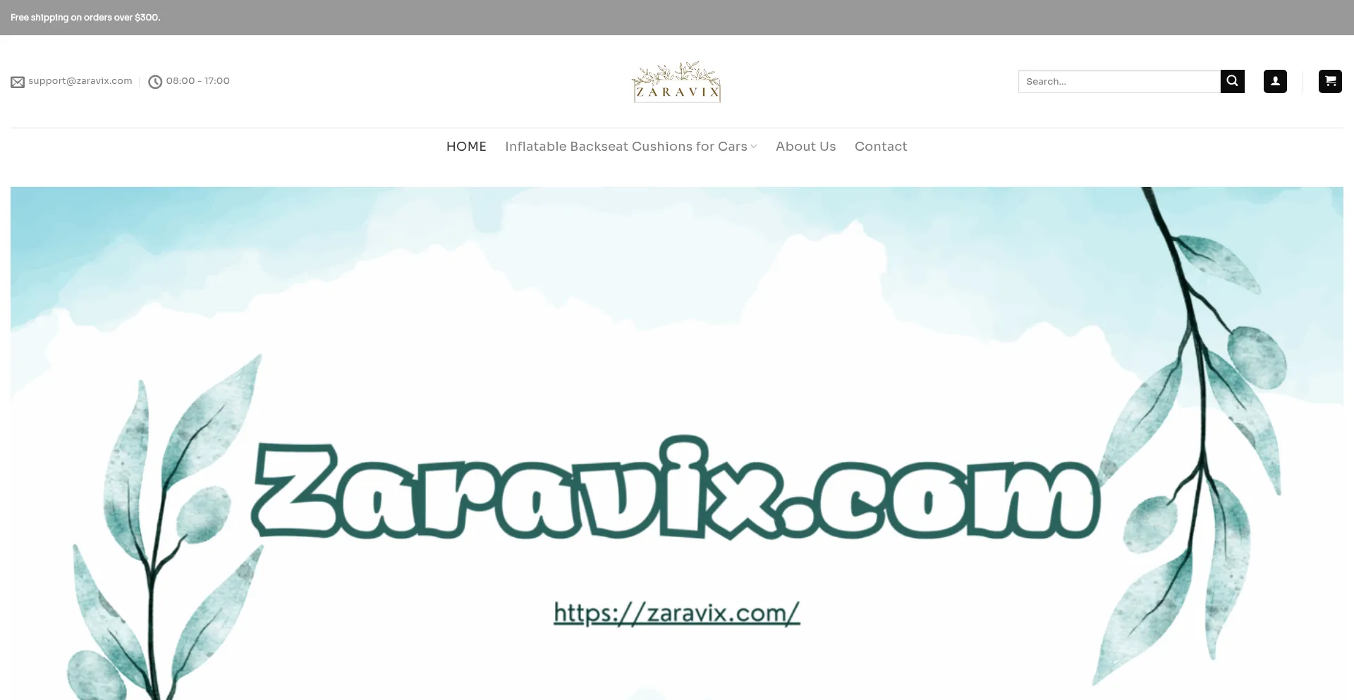 Website screenshot of Zaravix.com