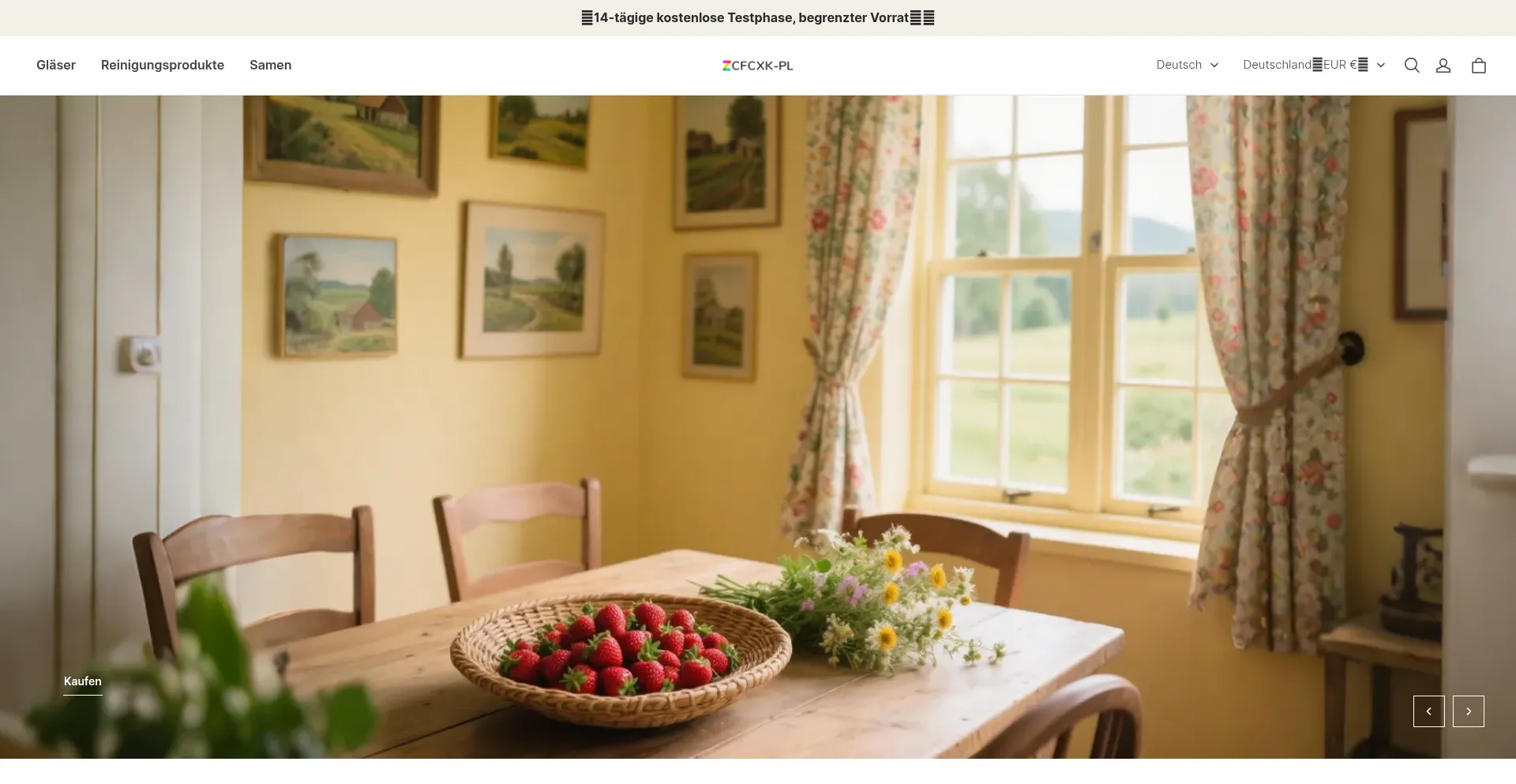 Website screenshot of Zcfcxk-pl.com