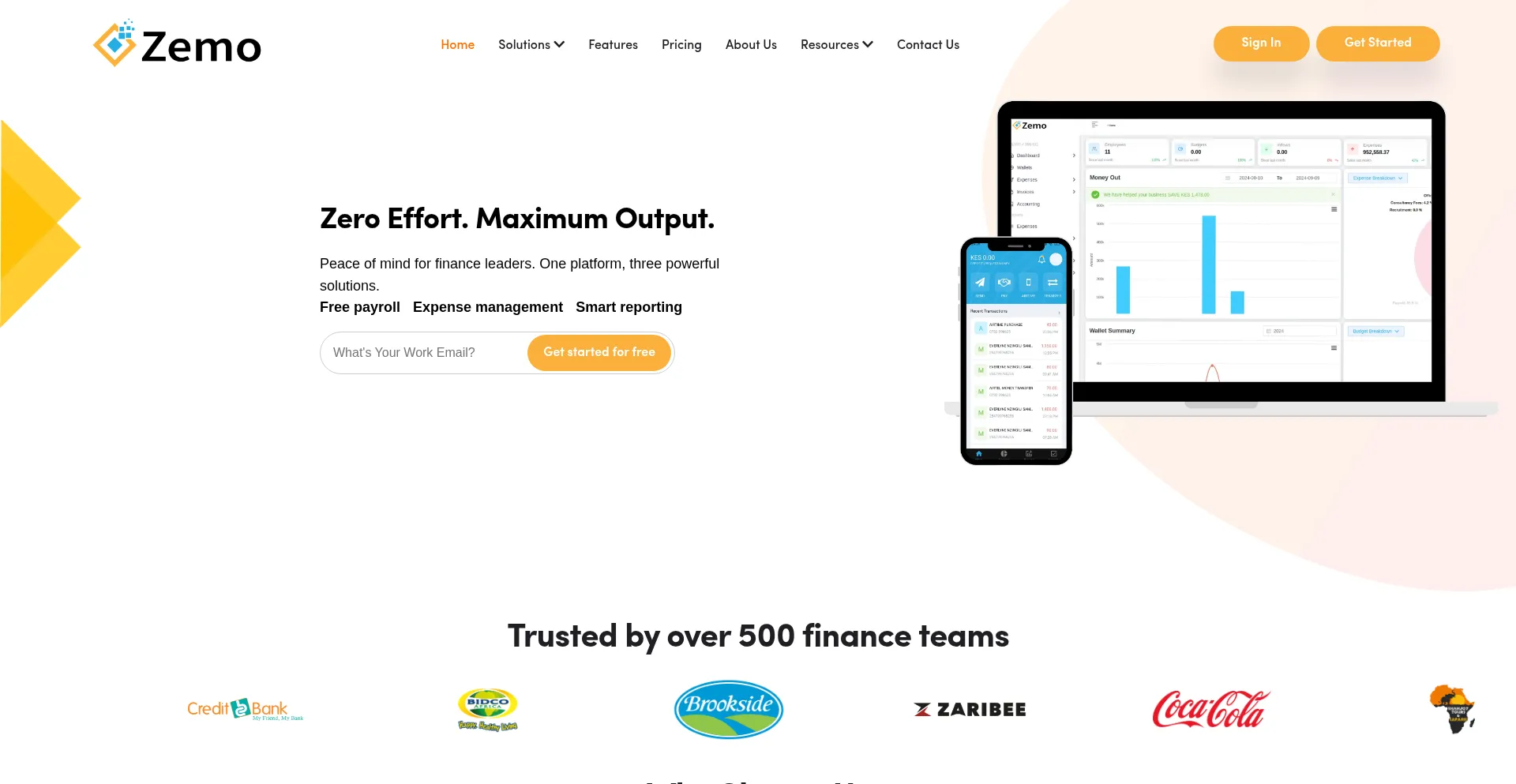 Website screenshot of Zemocard.com