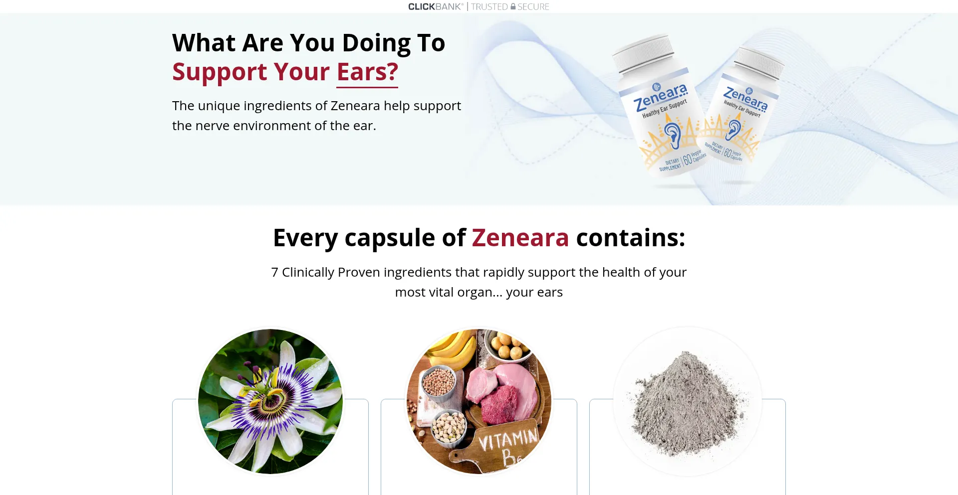 Zeneara.com