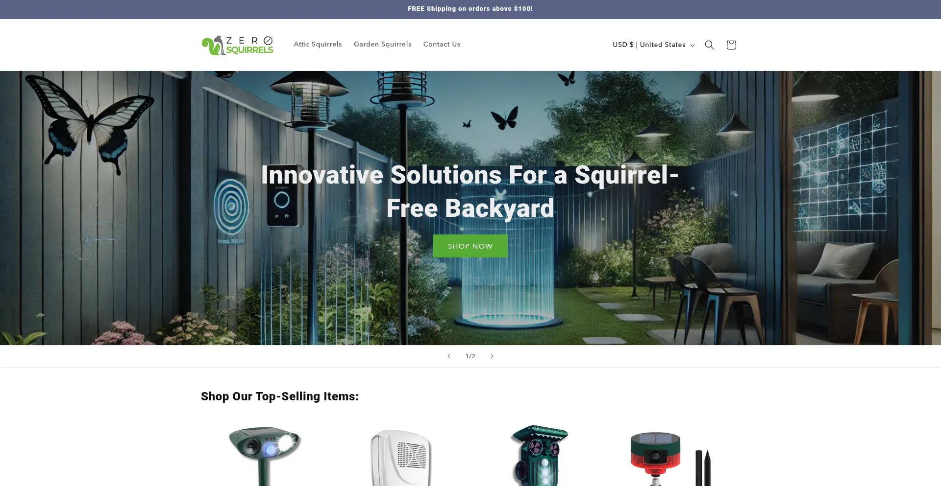 Website screenshot of Zerosquirrels.com