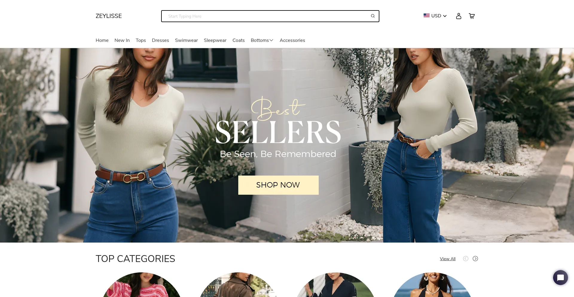 Website screenshot of Zeylisse.com