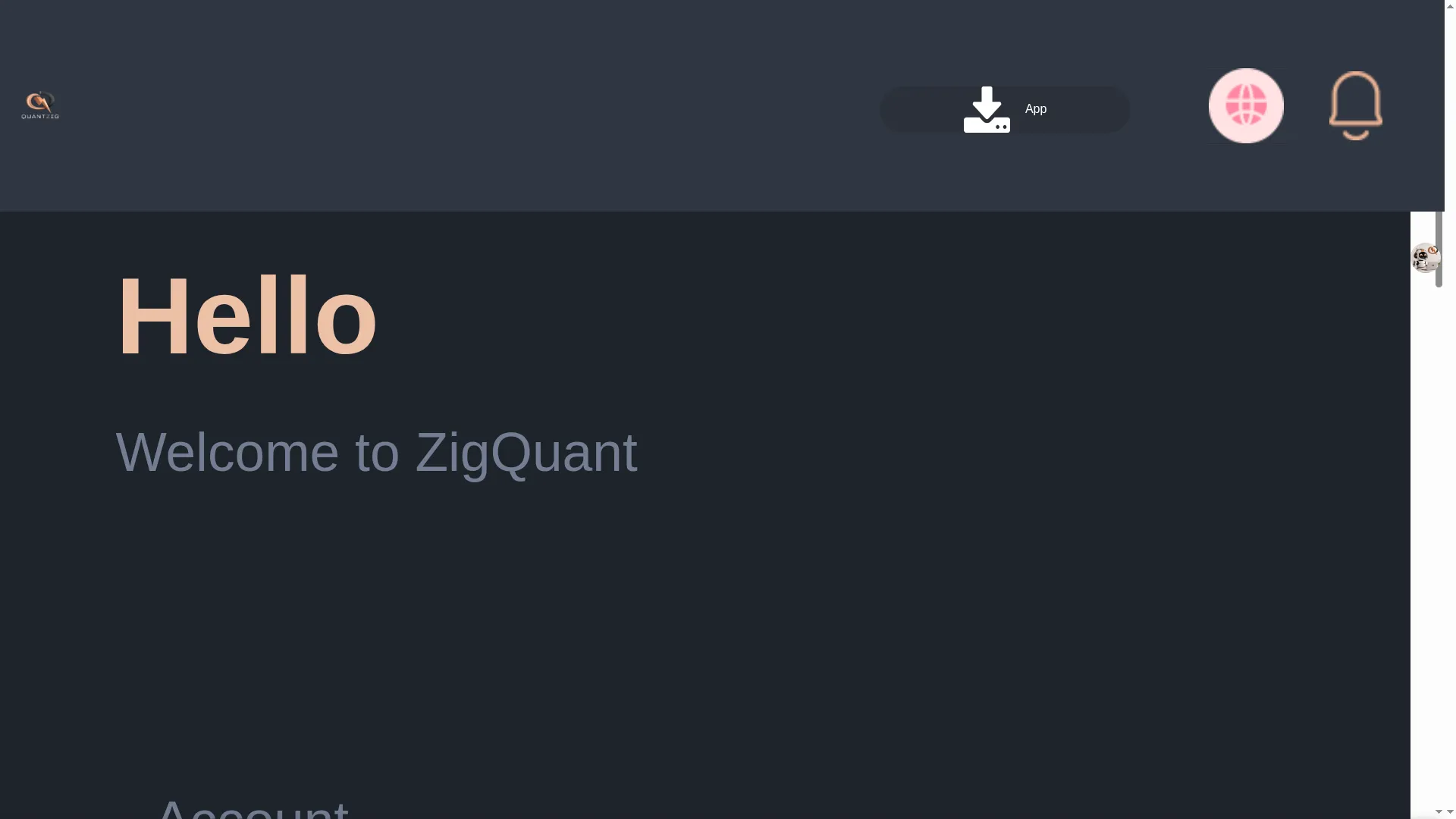 Zigquant.sbs
