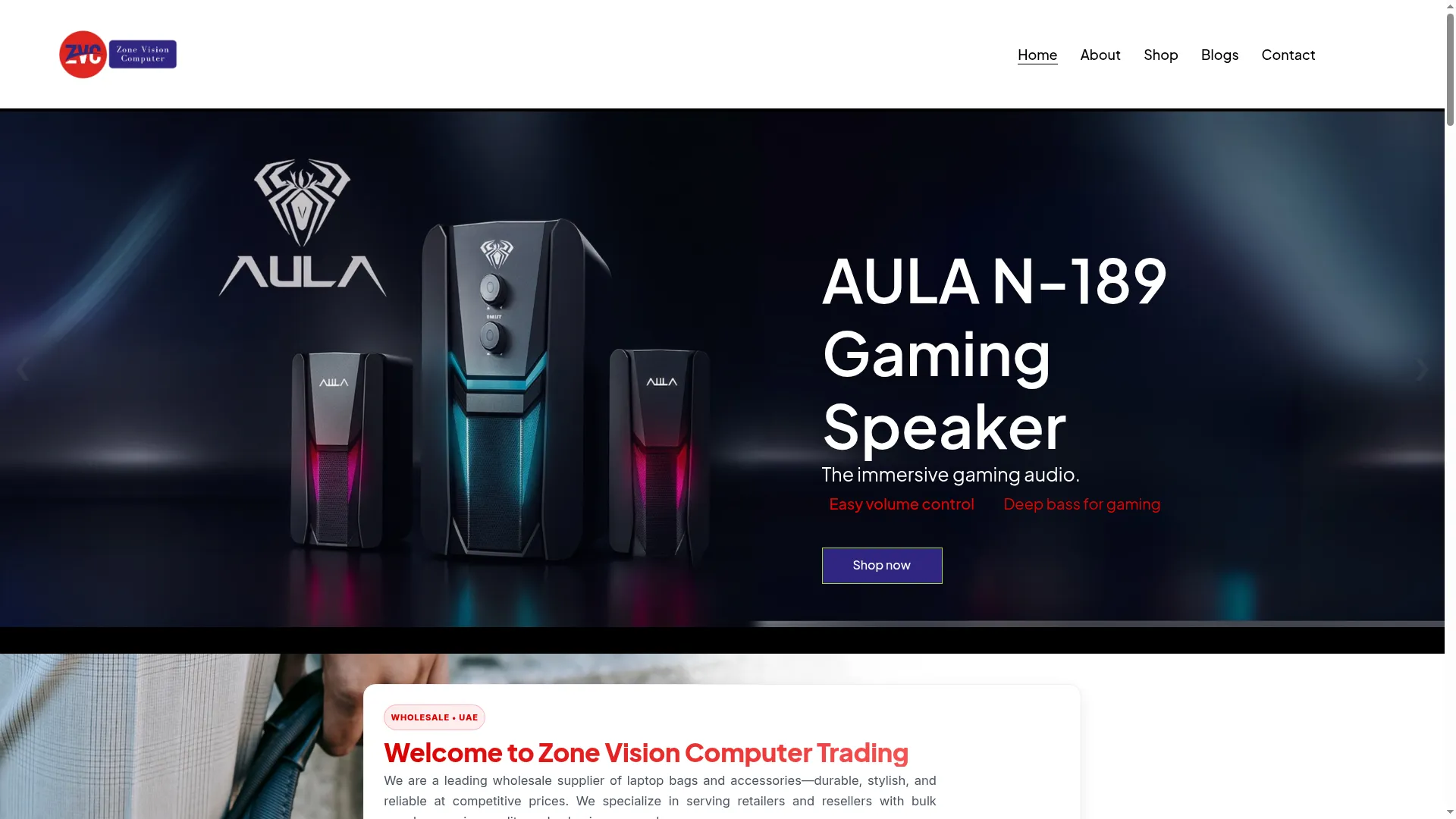 Zonevisioncomputer.com