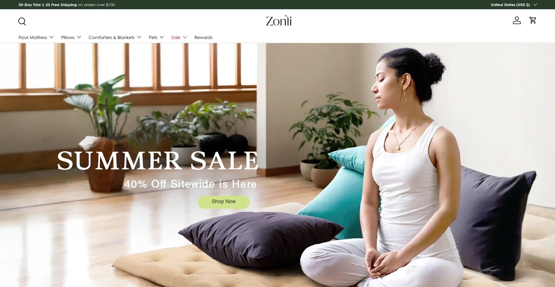 Website screenshot of Zonlihome.com
