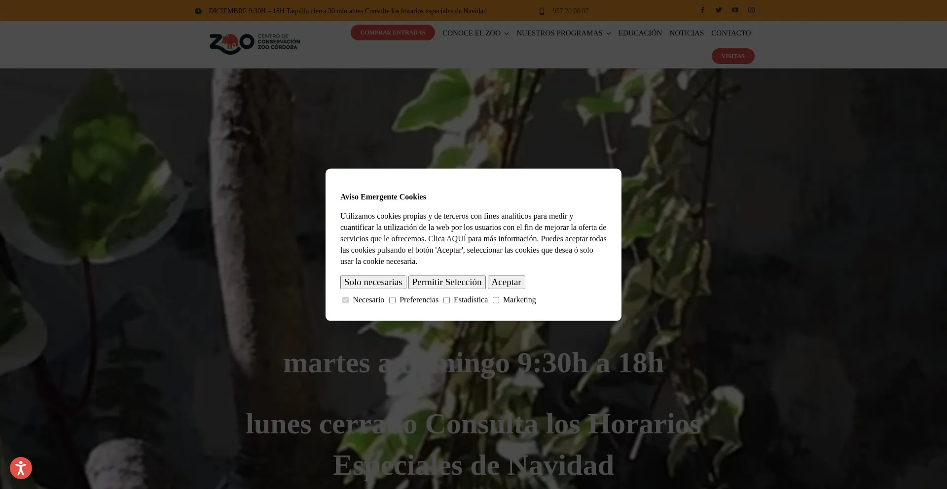Zoo.cordoba.es