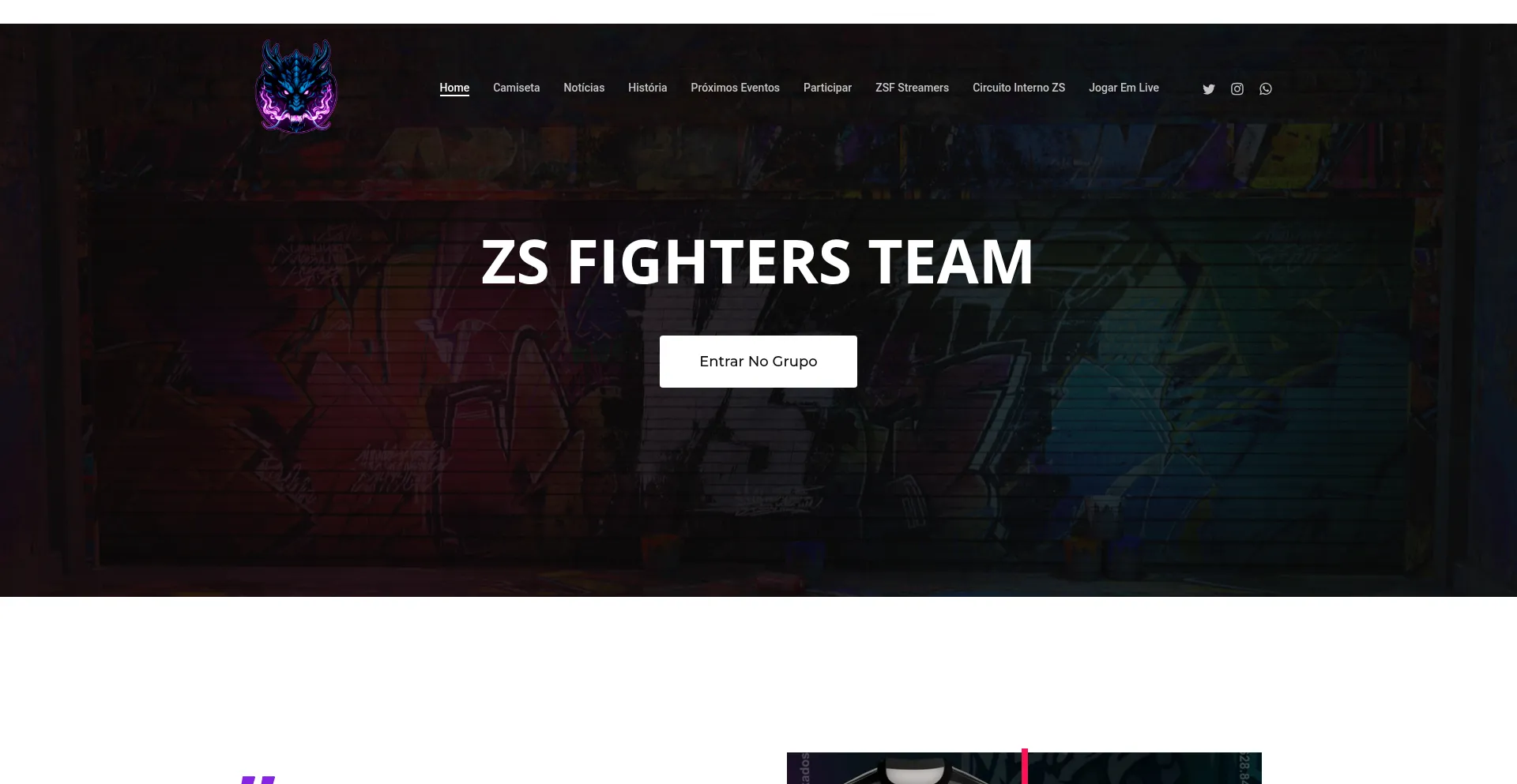 Zsfighters.com.br